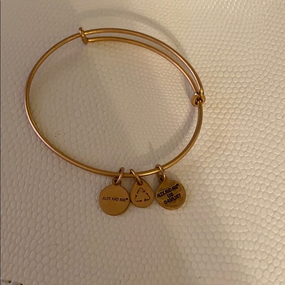 Plain Alex and Ani bangle - Picture 1 of 2